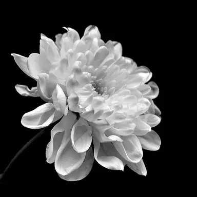 Profile image of 많이 늦었지만.