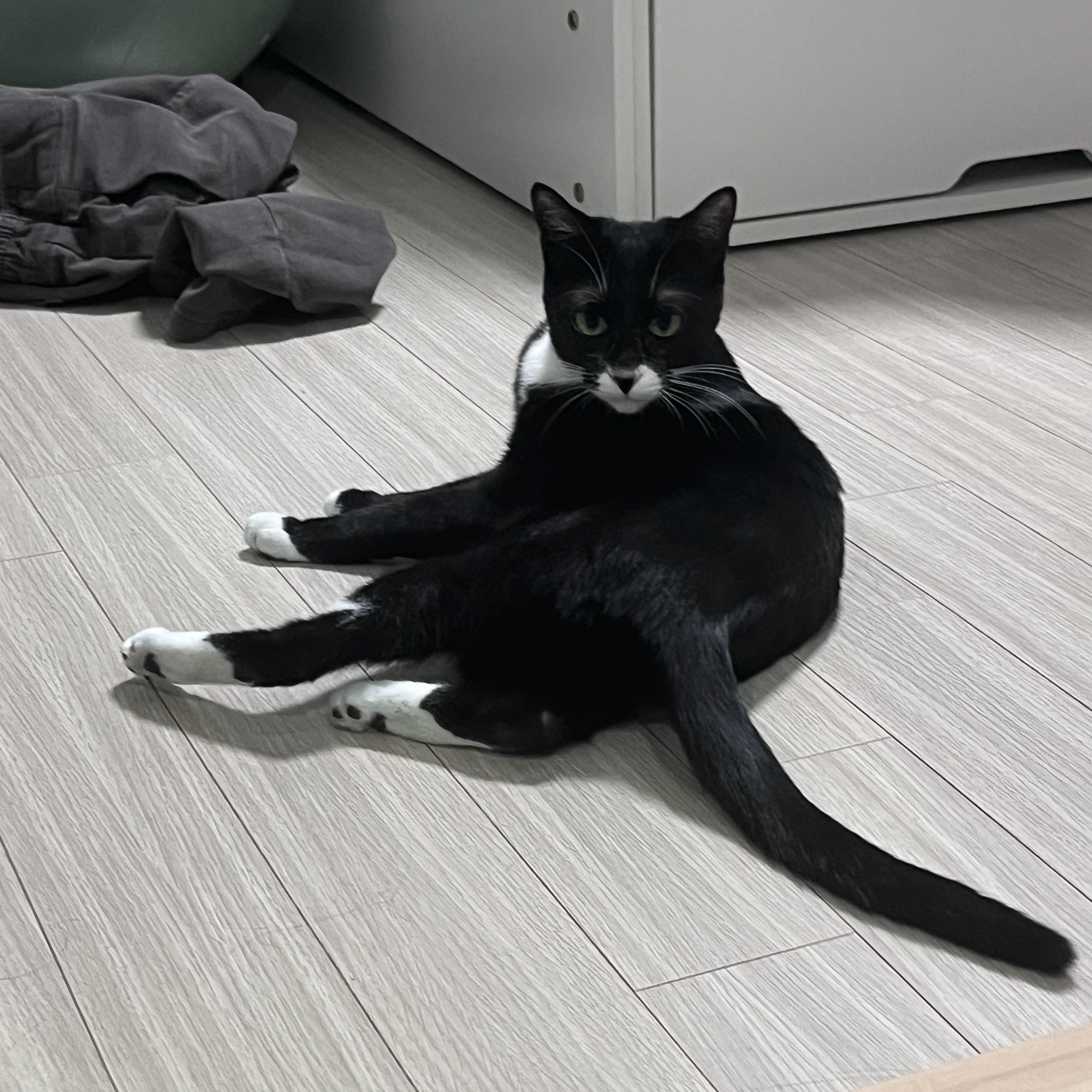 ㅁ 대표 이미지