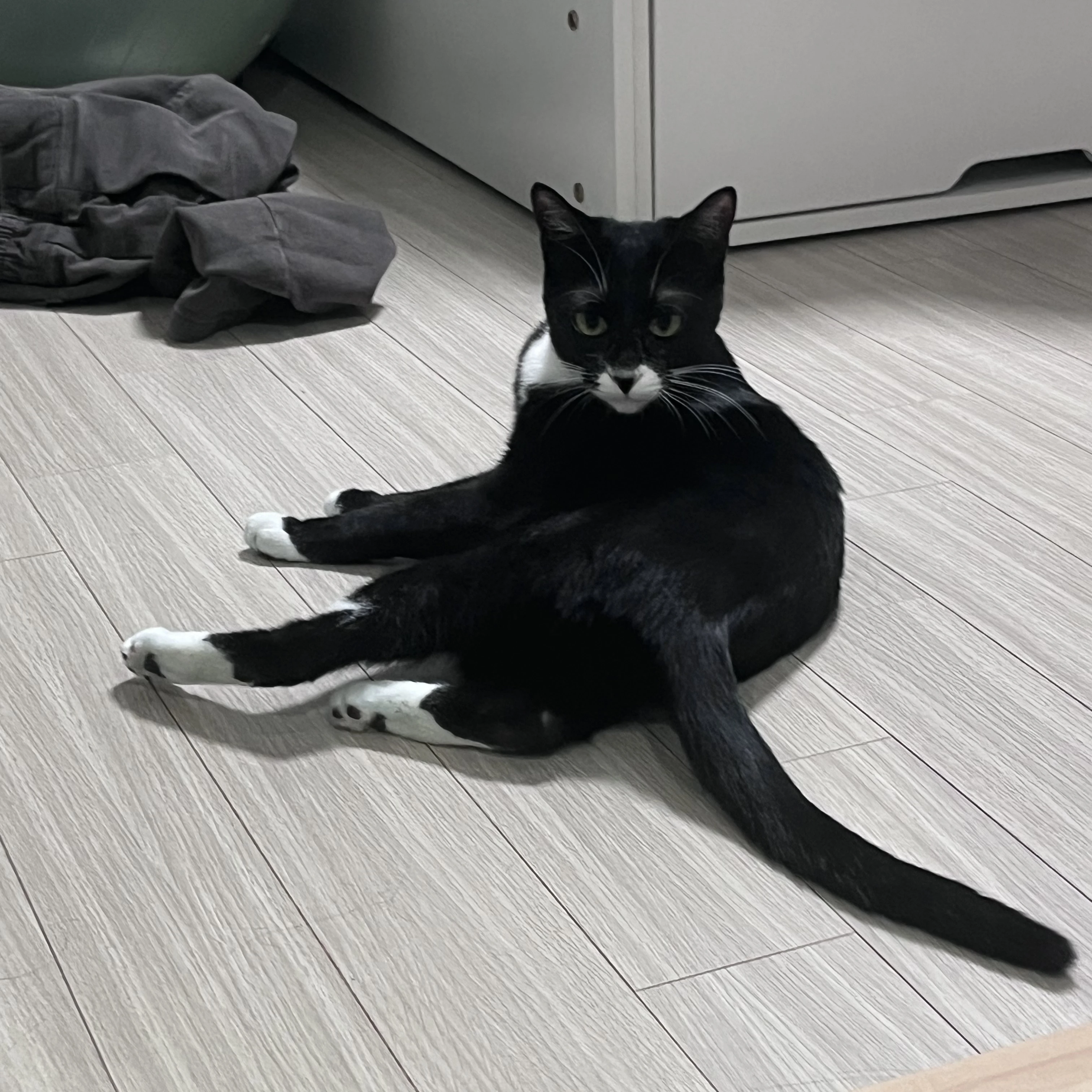 ㅁ