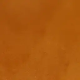 Profile image of 수현