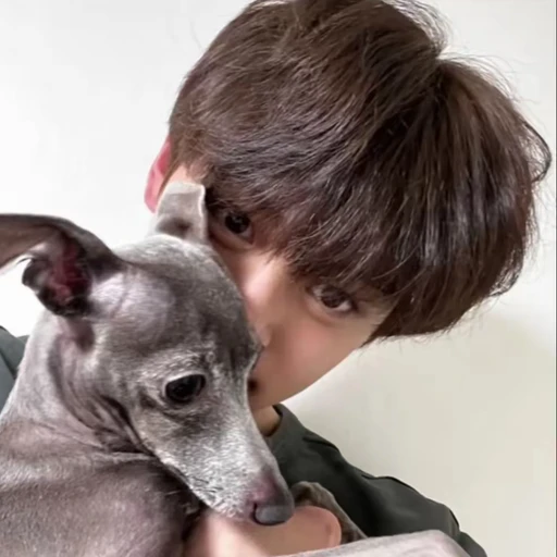 김규빈