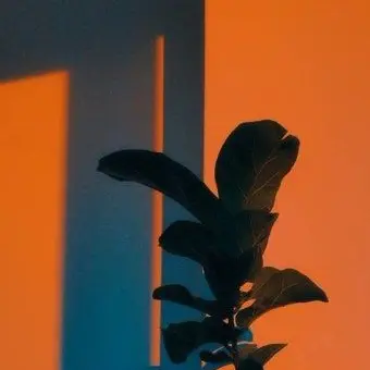 Profile image of 코마