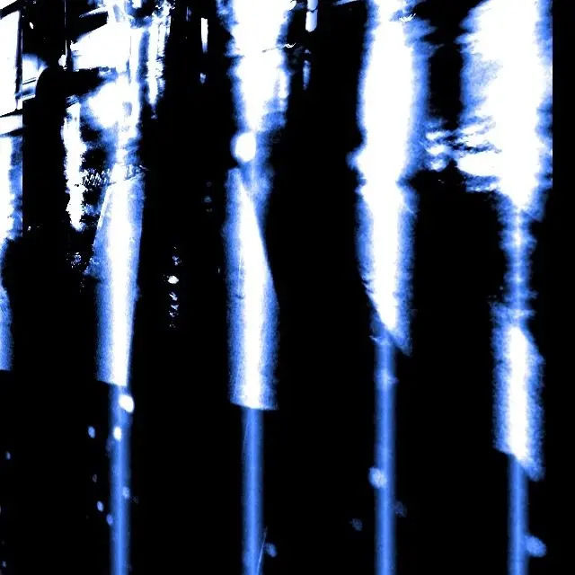 StupidCave8452의 ▪︎