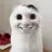 異常猫(私です。)