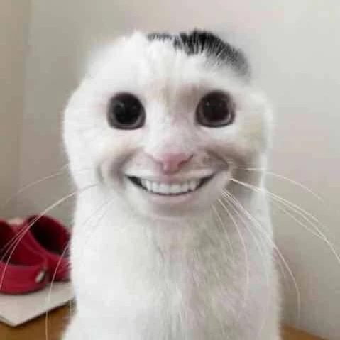 異常猫(私です。)