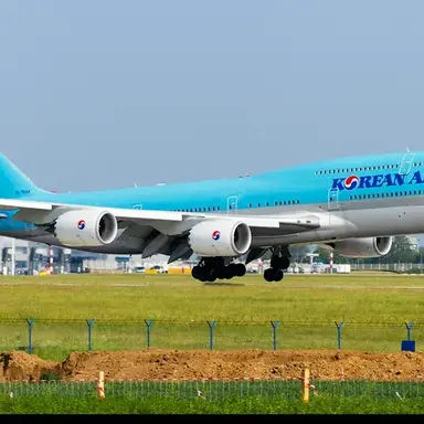 Profile image of Korean 801