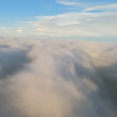 Profile image of 유기사