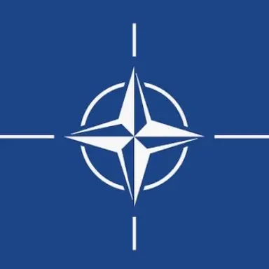 Profile image of NATO