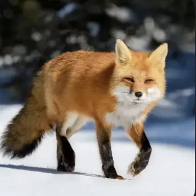 Profile image of 박여울