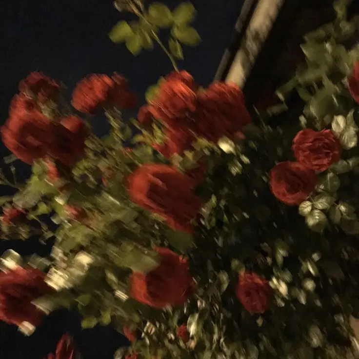 Dino_0911의 그런건 자만이잖아?