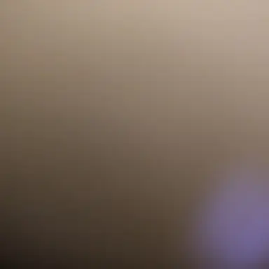 Profile image of 佐藤 連