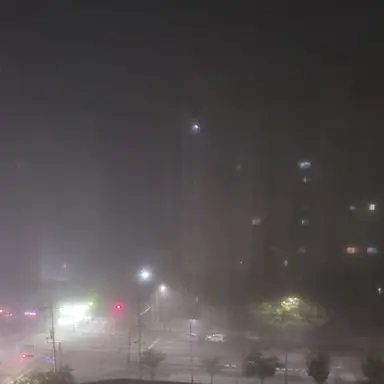 Profile image of 고고프렌즈