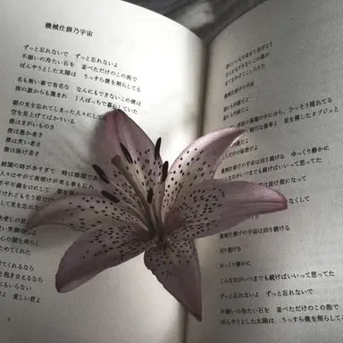 Profile image of 인도