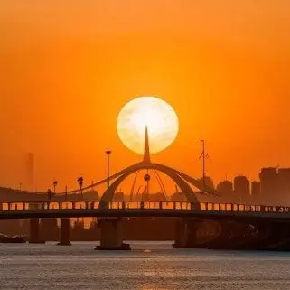 Profile image of 허인서