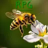 Profile image of 곤충세계 RPG