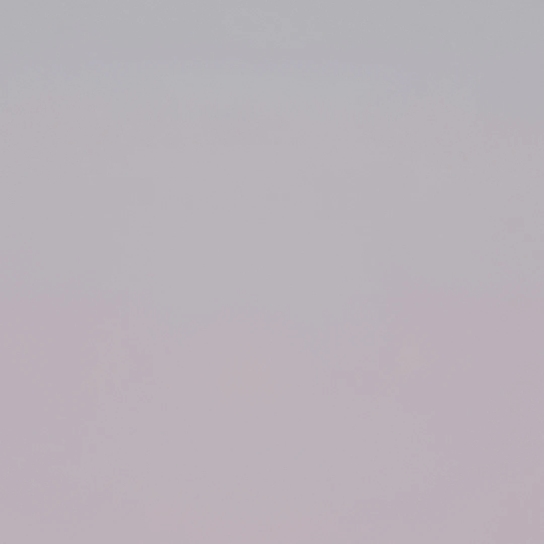 배우들