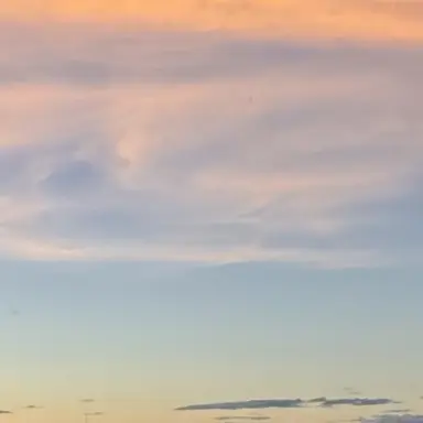 Profile image of dream core