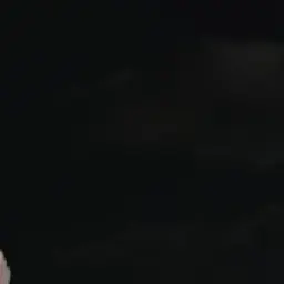 Profile image of 재현