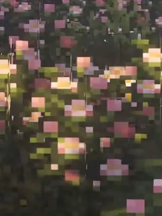 FleshyGoat1458의 선배뜰팁아이돌과 신인아이돌?!?!