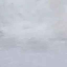 GiddyShard7784의 KSY