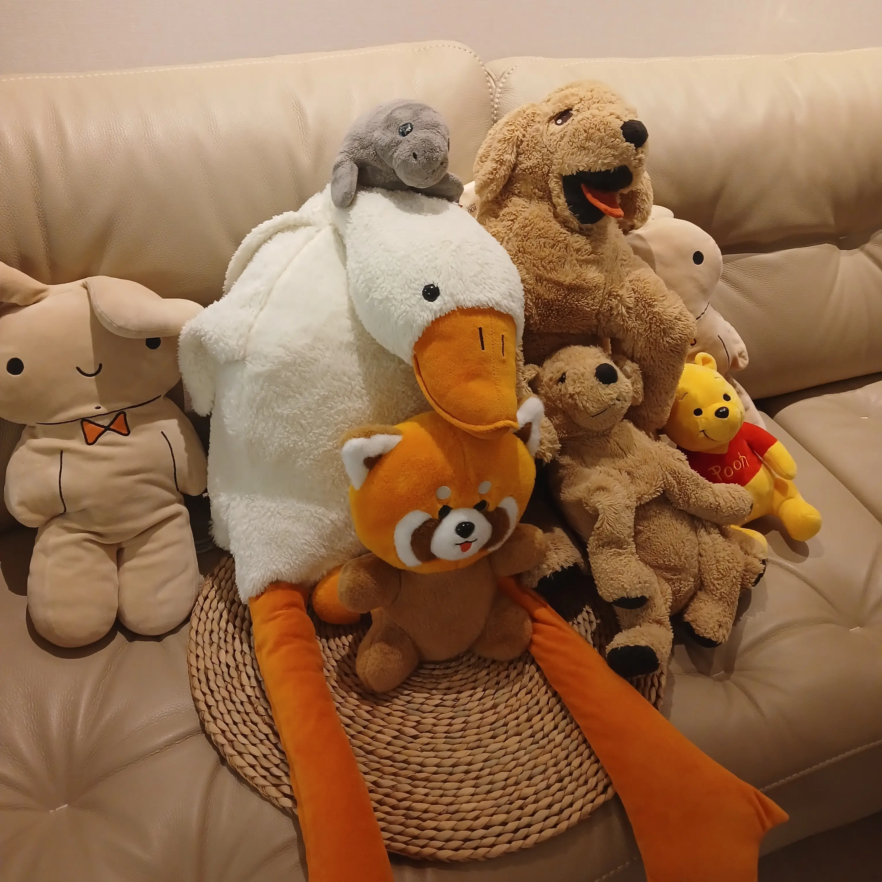 SappyTime2227의 내친구 윤재