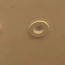IvoryPolar0315의 君が僕を指導するの？  笑