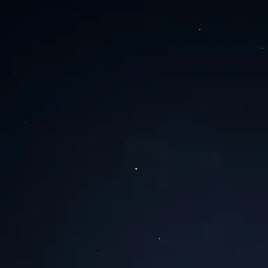 Profile image of 백지헌