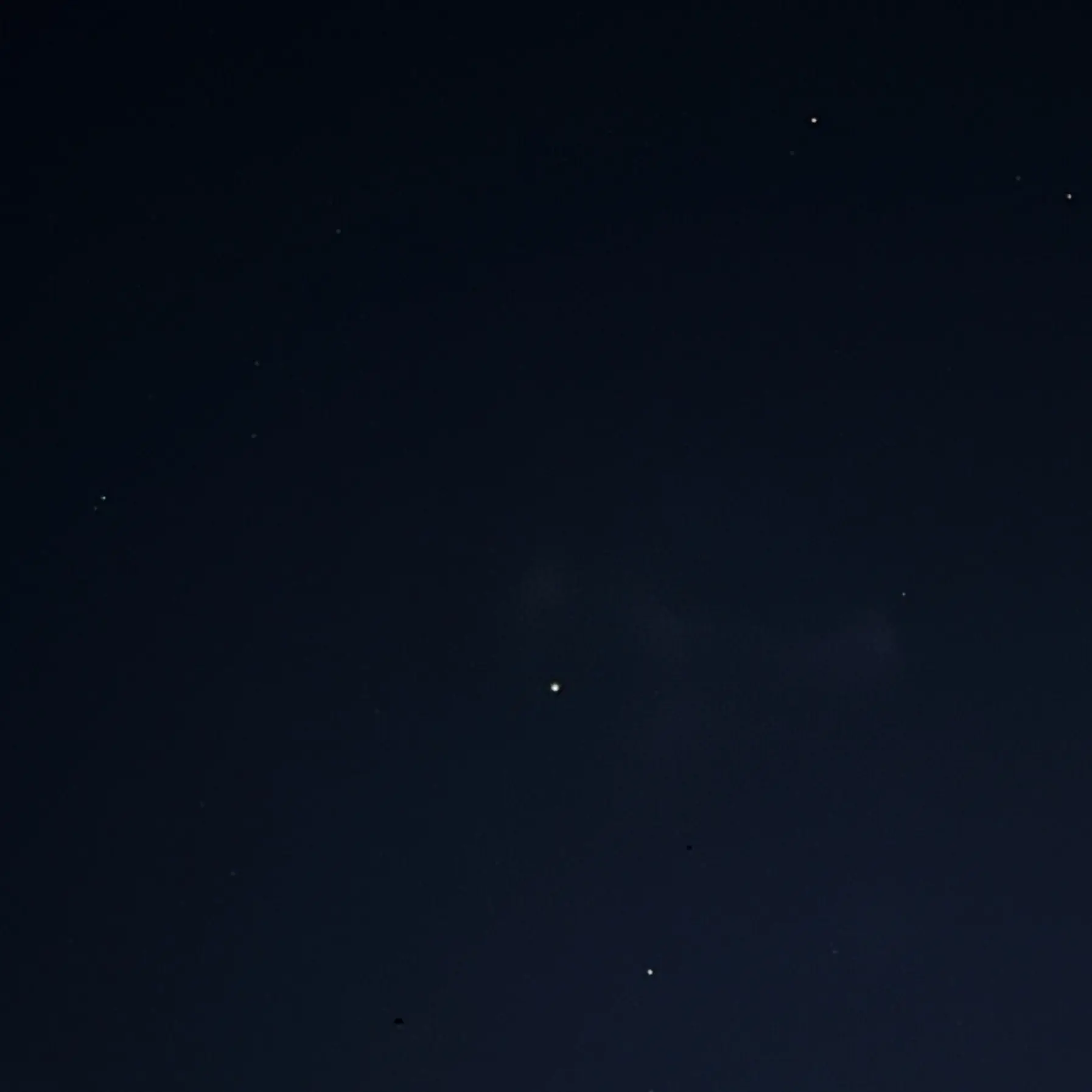 CattyAlbum4325의 백지헌