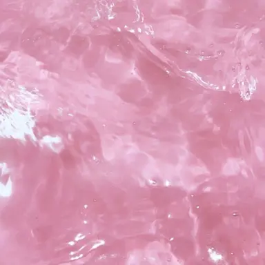 Profile image of ないこ