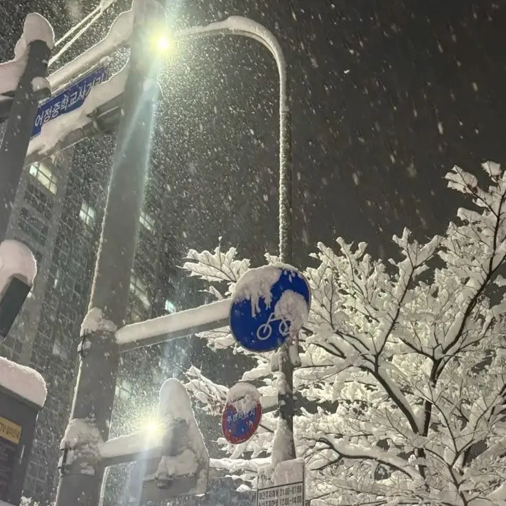 FolksyFluff1896의 재수없는 이과 1등