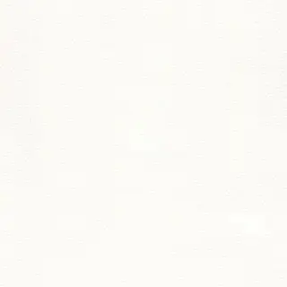 Profile image of ml