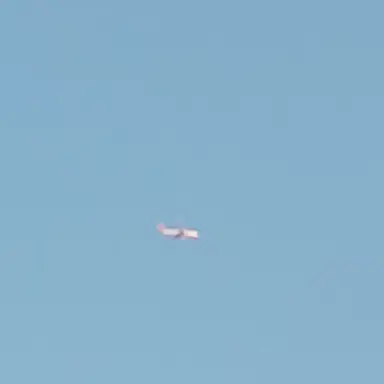 Profile image of 정공룡