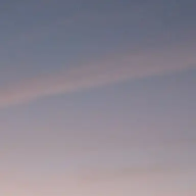 Profile image of 황수현