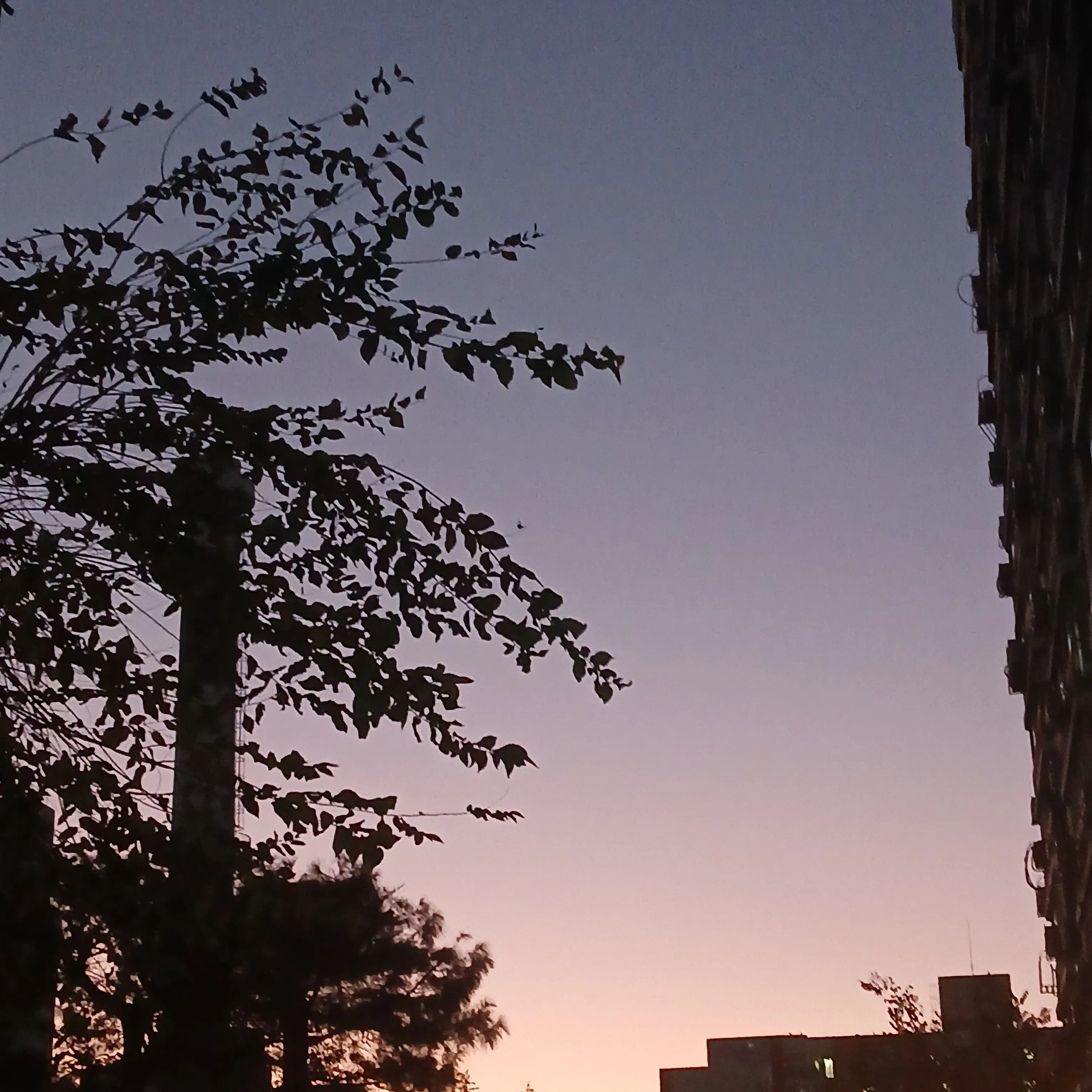 I_LOVE_SDSG의 꼭 내가 빙의하리란 법은 없다? 뜰팁