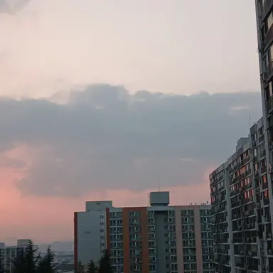 Profile image of 서라더