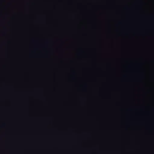 HighKoala0759의 황현진