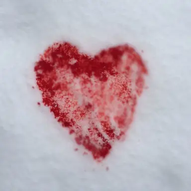 Profile image of 여우