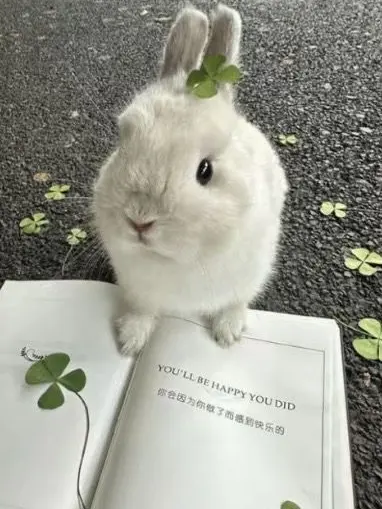 CXXUoxoU_0910의 ෆ‪せんせー！ෆ‪