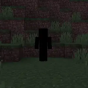 Profile image of Null