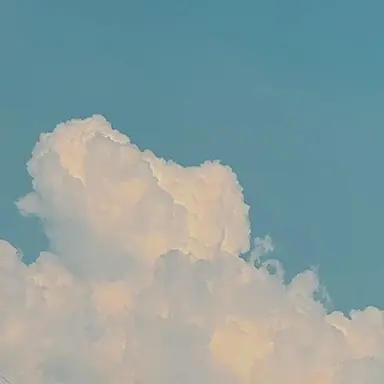 Profile image of 西条 篤輝