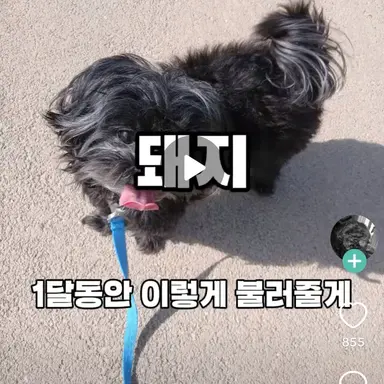 Profile image of 여우