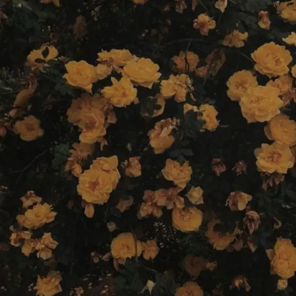 dkanjTmwlwlsWk의 결혼기념일 까먹은 잭 (2p)