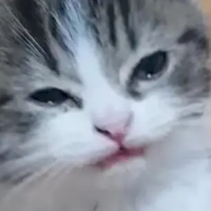 Profile image of Red