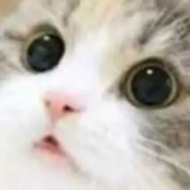 Profile image of Blue