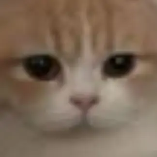 Profile image of King Orang