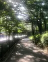 Profile image of 공룡