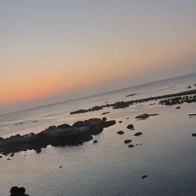 Profile image of 각별