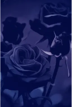 Profile image of 쉐도우밀크 쿠키