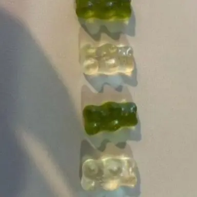 Profile image of 공룡