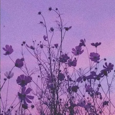 Profile image of 수현